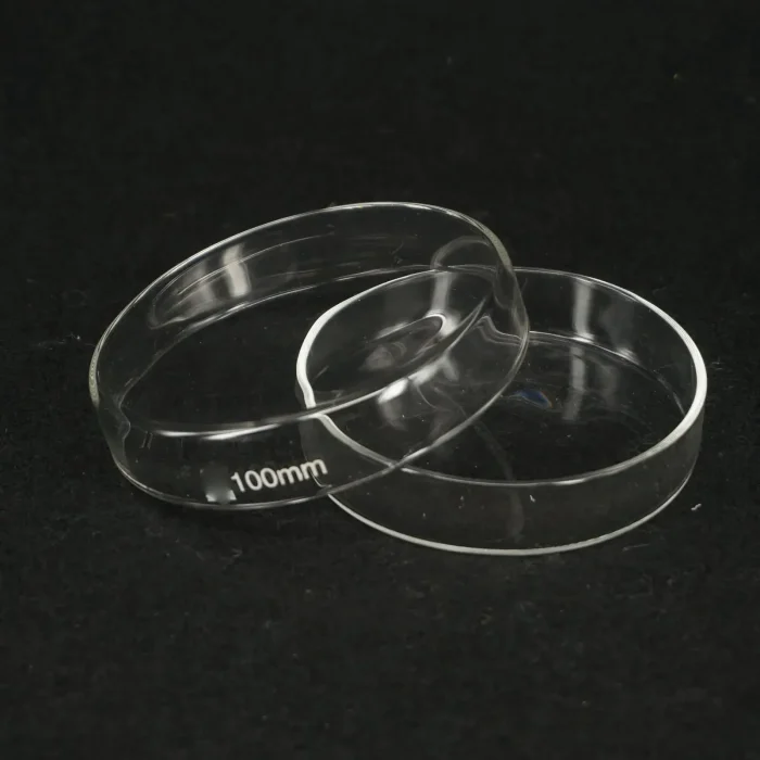 Borosilicate Glass Petri Culture Dish 100 mm